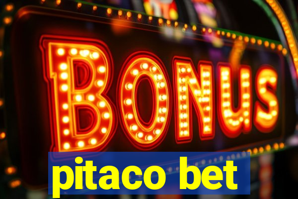 pitaco bet